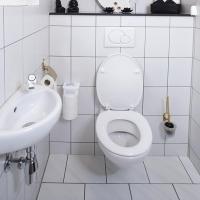 HG Hijyenik Tuvalet Temizleyici 0.5 L